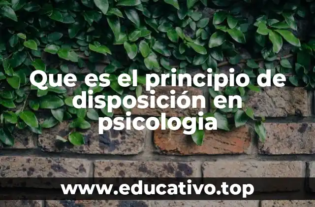 Que es el principio de disposición en psicologia