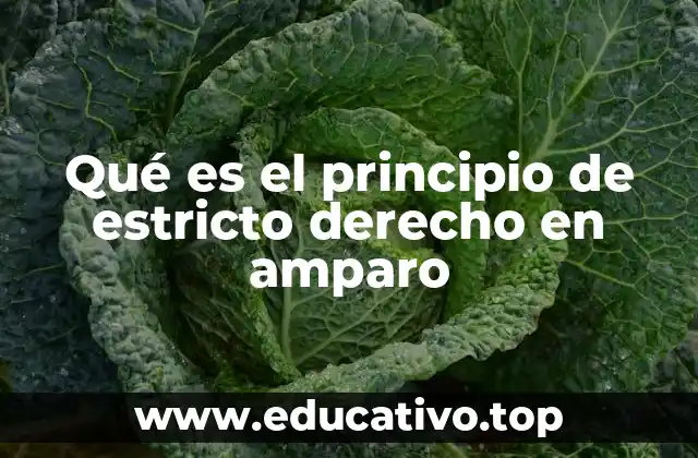 Qué es el principio de estricto derecho en amparo