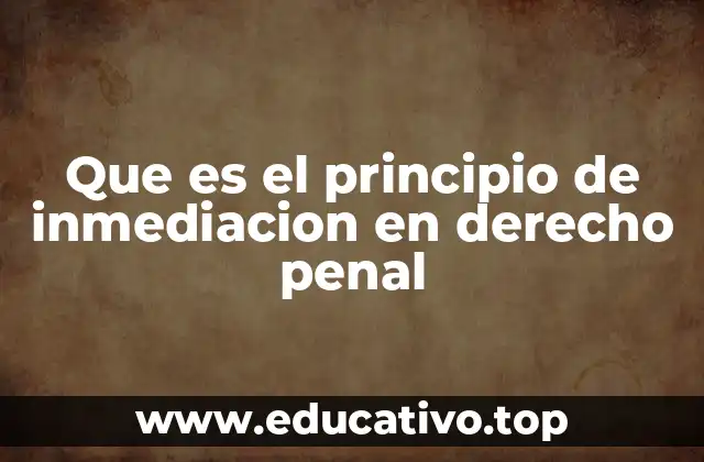Que es el principio de inmediacion en derecho penal
