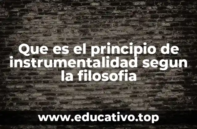Que es el principio de instrumentalidad segun la filosofia