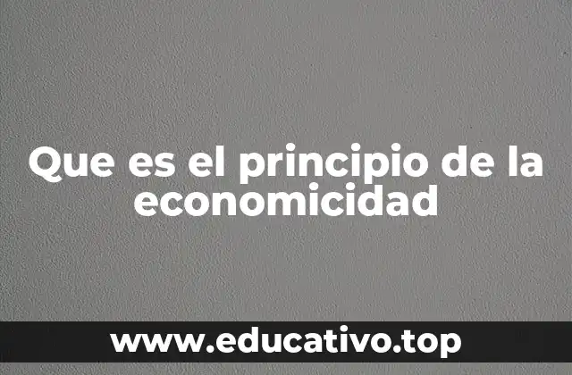 Que es el principio de la economicidad
