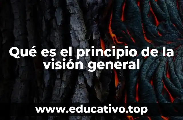 Qué es el principio de la visión general