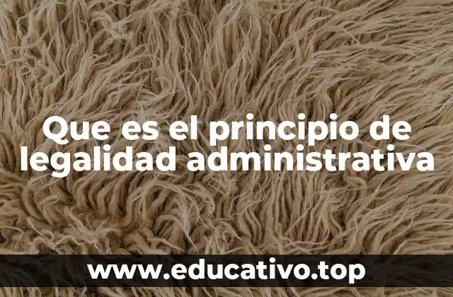 Que es el principio de legalidad administrativa