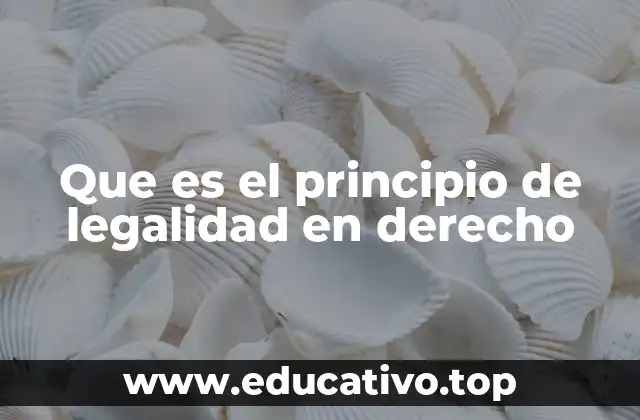 Que es el principio de legalidad en derecho