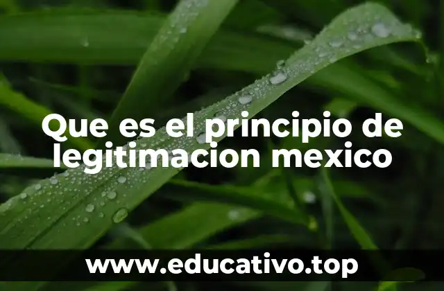 Que es el principio de legitimacion mexico