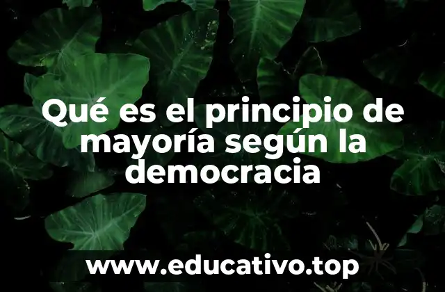 Qué es el principio de mayoría según la democracia