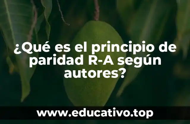 ¿Qué es el principio de paridad R-A según autores?