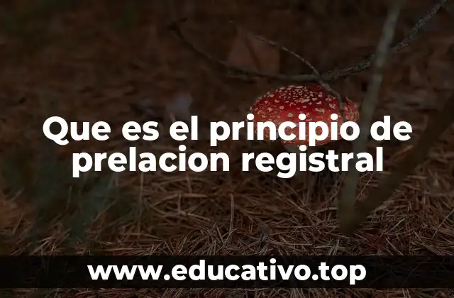 Que es el principio de prelacion registral