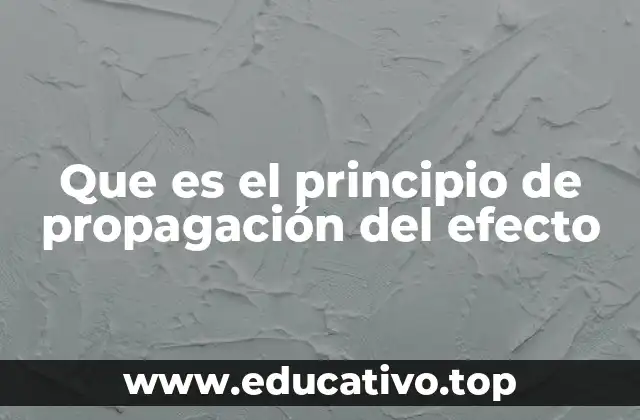 Que es el principio de propagación del efecto