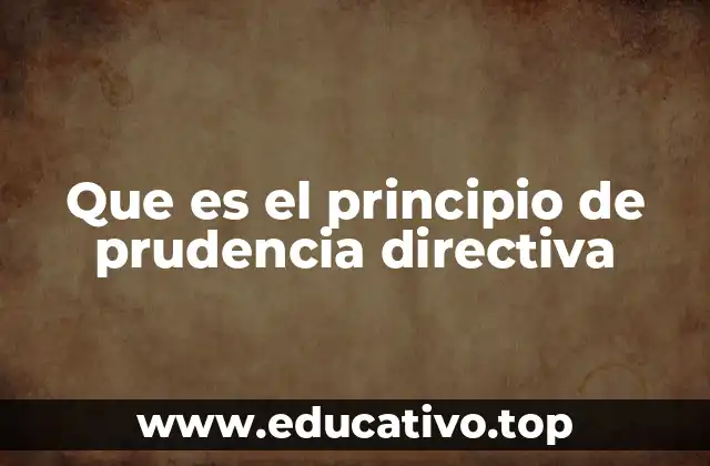 Que es el principio de prudencia directiva