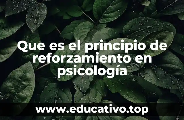 Que es el principio de reforzamiento en psicología