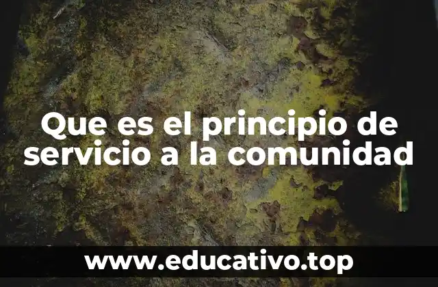 Que es el principio de servicio a la comunidad