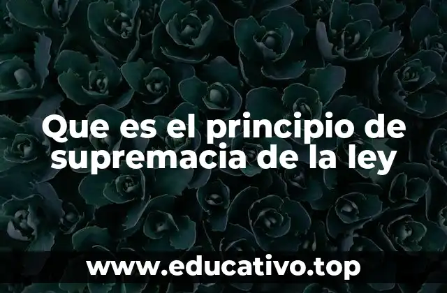 Que es el principio de supremacia de la ley