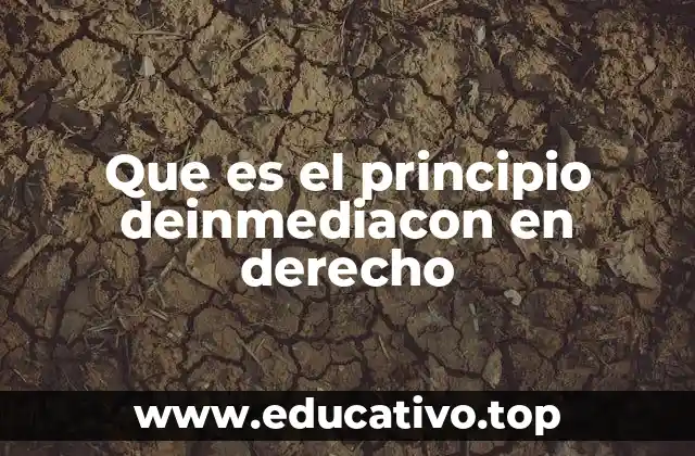 Que es el principio deinmediacon en derecho