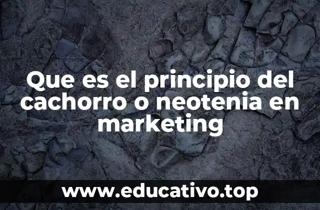 Que es el principio del cachorro o neotenia en marketing