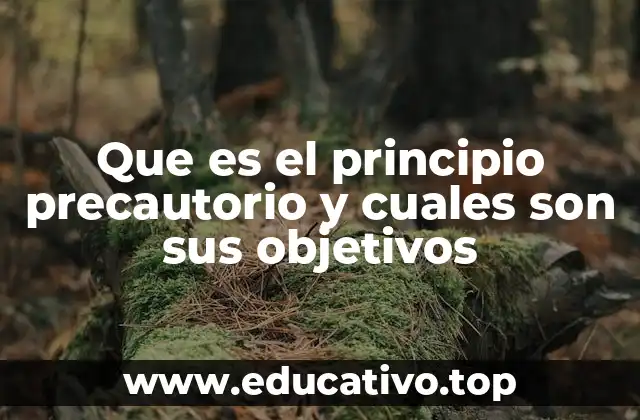 Que es el principio precautorio y cuales son sus objetivos