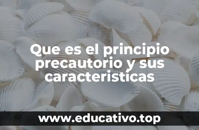 Que es el principio precautorio y sus caracteristicas