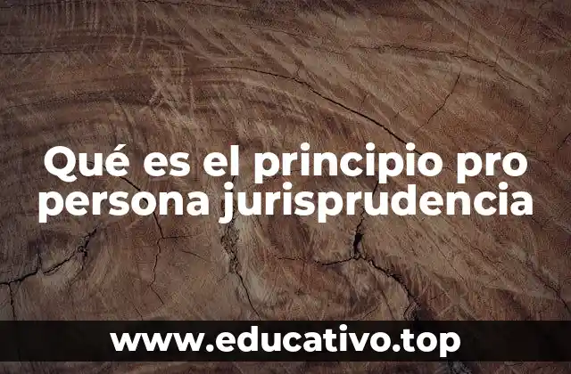 El rol del juez en la aplicación del principio pro persona