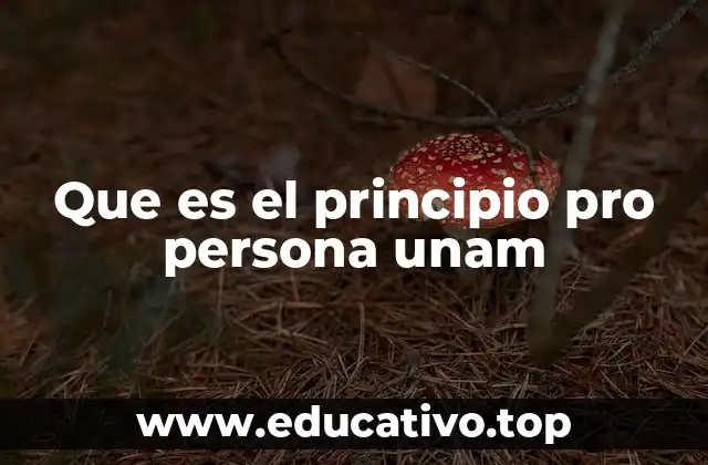 Que es el principio pro persona unam
