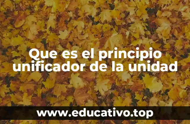 Que es el principio unificador de la unidad