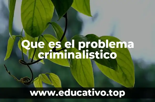 La complejidad de la investigación en delitos sin resolución clara