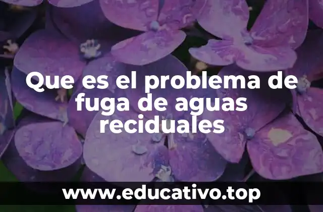 Que es el problema de fuga de aguas reciduales