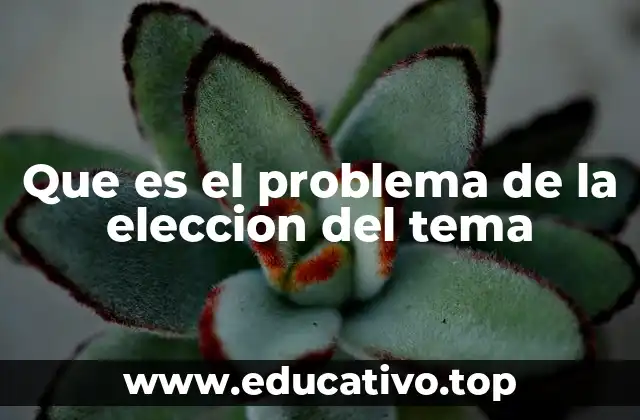 Que es el problema de la eleccion del tema