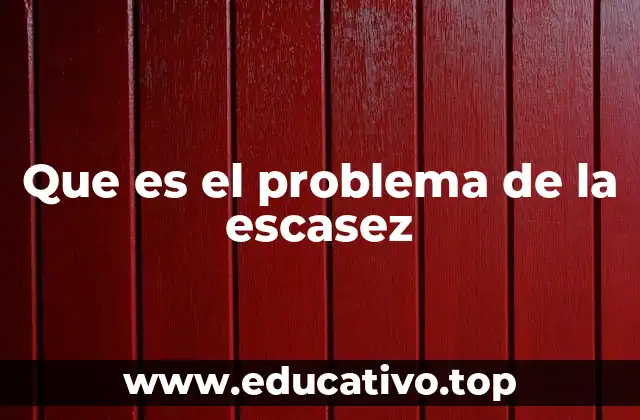 Que es el problema de la escasez