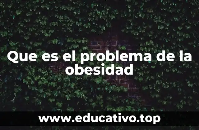 Que es el problema de la obesidad