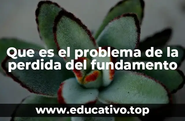 Que es el problema de la perdida del fundamento