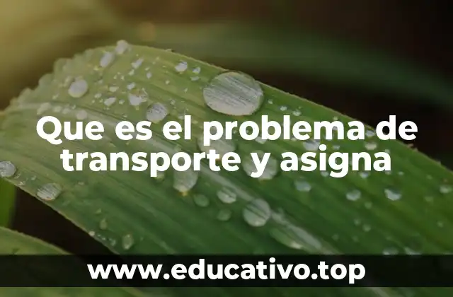 Que es el problema de transporte y asigna