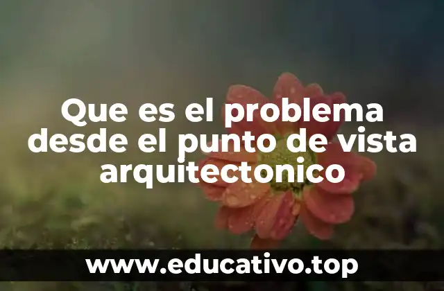 Que es el problema desde el punto de vista arquitectonico