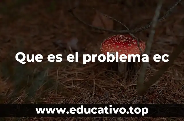 Que es el problema ec