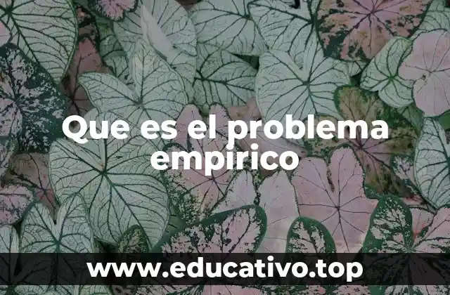 Que es el problema empirico