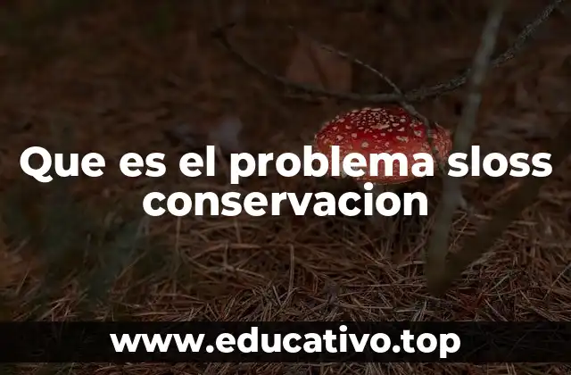 Que es el problema sloss conservacion