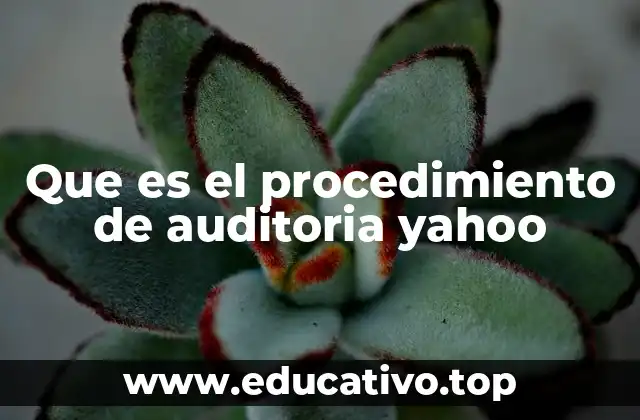 La importancia del control financiero en empresas tecnológicas como Yahoo