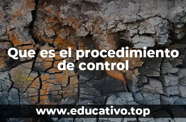 Que es el procedimiento de control