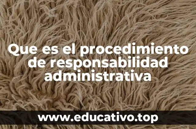 Que es el procedimiento de responsabilidad administrativa