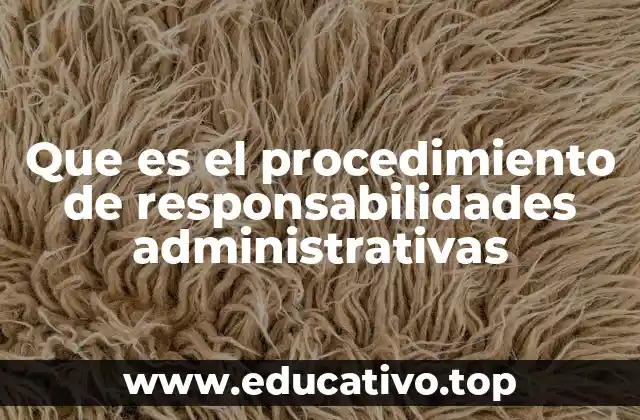 Que es el procedimiento de responsabilidades administrativas