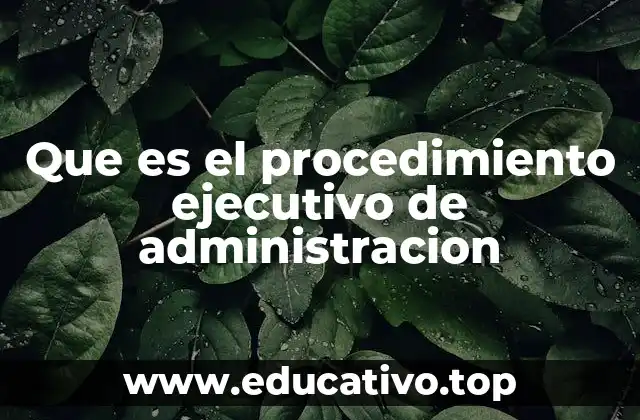 Que es el procedimiento ejecutivo de administracion