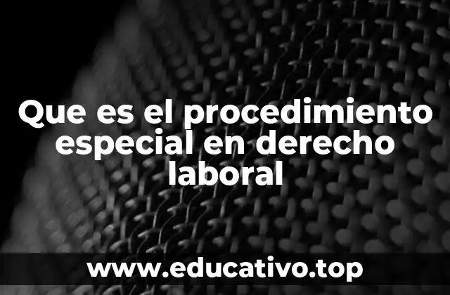 Que es el procedimiento especial en derecho laboral