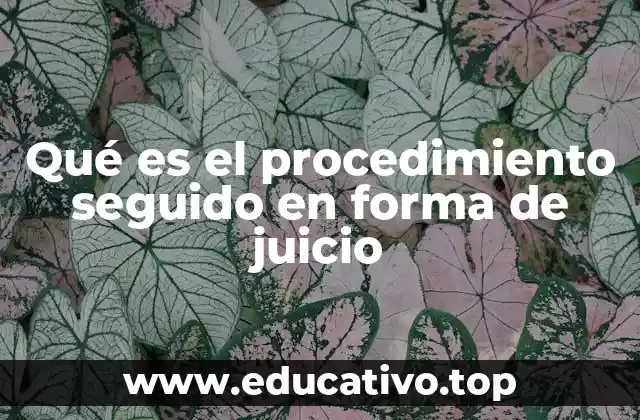 Qué es el procedimiento seguido en forma de juicio
