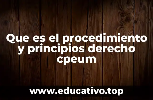 Que es el procedimiento y principios derecho cpeum
