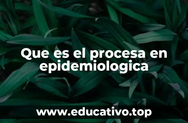 Que es el procesa en epidemiologica