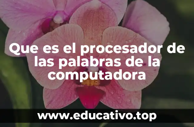 Que es el procesador de las palabras de la computadora