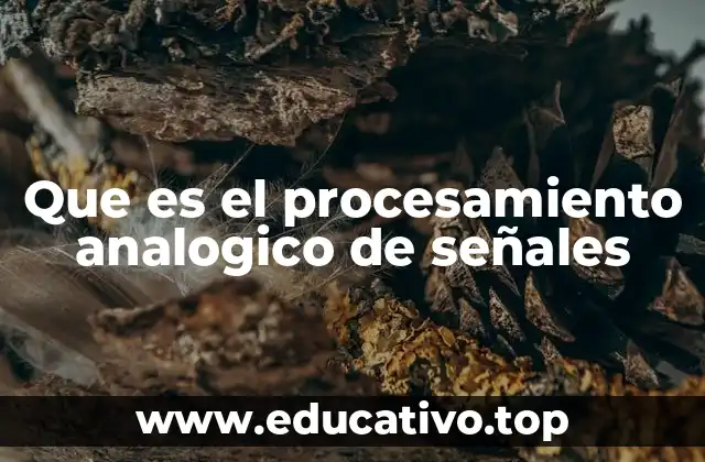 Que es el procesamiento analogico de señales
