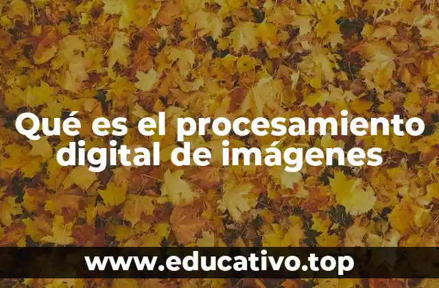 Qué es el procesamiento digital de imágenes