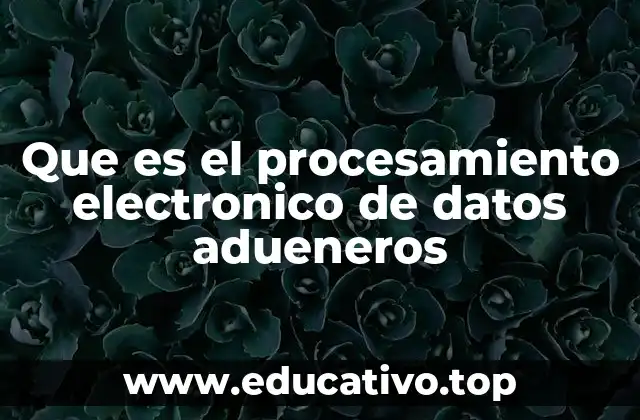 Que es el procesamiento electronico de datos adueneros