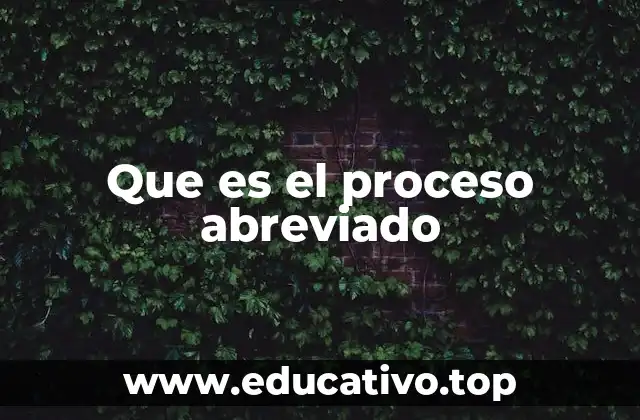 Que es el proceso abreviado