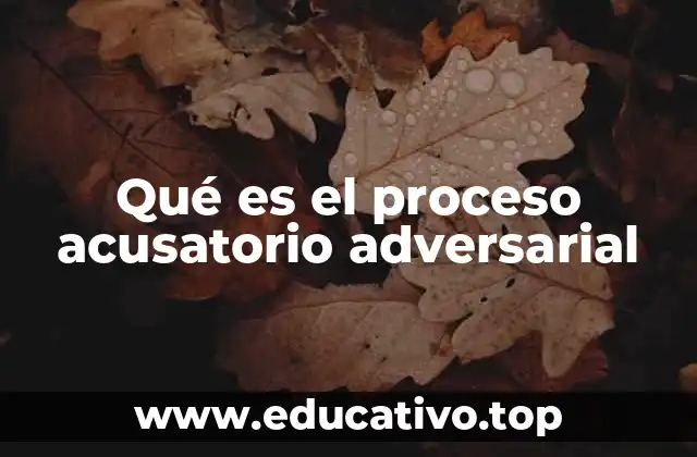 Qué es el proceso acusatorio adversarial